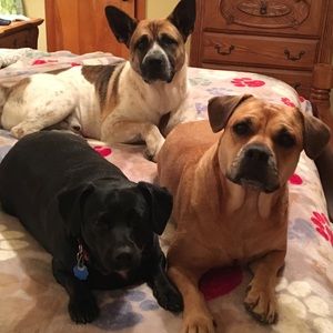 Meet your Posher, Cindy